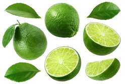 Limes isolated on white background. Collection