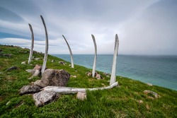 Whale ribs on the site of the abandoned old Eskimo settlement Naukan on the coast of the Bering Strait. The environs of Cape Dezhnev (the easternmost point of Eurasia). Chukotka, Far East of Russia.
