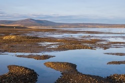 View of the shallow lagoon at low tide. The coast of a shallow sea lagoon. Hills in the distance. Natural landscape.