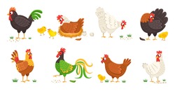 Cartoon domestic chicken. Funny different roosters and mother hens various breed with small chicks, colorful easter color birds collection, egg shell and nest. Cute farm animals vector isolated set