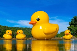 Big yellow rubber ducks in the lake 