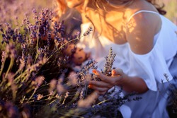 Beautiful girl on the lavender field. Beautiful woman in the lavender field on sunset. - Image 