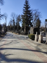 Lychakiv cemetery. Tombstones and graves in the cemetery. City cemetery. Ancient burial places with statues and monuments. Catholic cemetery, family crypt. Polish and Ukrainian cemeteries