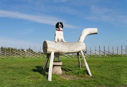 Big white and black dog with front paws on wooden log. Giant Landseer dog in funny position. Observant and obedient furry family friend. Bright autumn day, blue sky, green lawn.