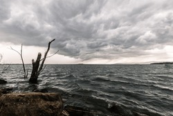 Broken trunks on a lake, beneath a dramatic, moody sky with an incoming storm