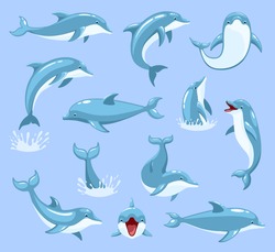 Cartoon Characters Funny Dolphin Set. Dolphinfish illustration sealife set of blue fish in dolphinarium isolated