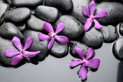 Still life with set of pink orchid on pebble