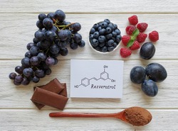 Food rich in resveratrol with structural chemical formula of resveratrol. Grapes, plum, cocoa powder, chocolate, blueberry, and raspberry as natural sources of resveratrol and antioxidants.
