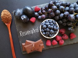 Foods rich in resveratrol. Resveratrol is a powerful antioxidant. Grape, plum, blueberry, raspberry, dark chocolate, and cocoa powder as natural sources of resveratrol and antioxidants. Healthy diet.
