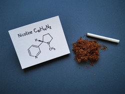 Structural chemical formula of nicotine molecule with tobacco dry heap and handmade cigarette. Nicotine is a plant alkaloid, found in the tobacco plant. It is a major component of cigarettes.
