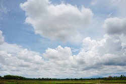 Cumulus clouds are puffy clouds that sometimes look like pieces of floating cotton. 