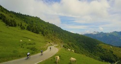 drone aerial view of a group of cyclists descending down a beautiful mountain road in the French pyrensee