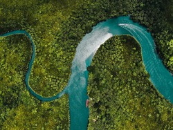 drone aerial birds eye view of a large green grass forest with tall trees and a big blue bendy river flowing through the forest in bohol Island in the Philippines 