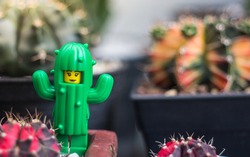 Buriram, Thailand - August 4, 2020: 
cactus girl lego girl minifigure. Lego is extremely popular worldwide with children and collector