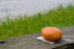 Donut or ponchik on a wooden bench on a lake background. Lake Svityaz, Volyn region, Ukraine. Takeaway food. Copy space.