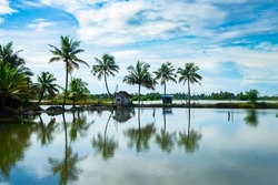 Small hut and coconut tree reflecting In the water under blue sky, Kerala backwaters photography during day time Kadamakkudy Kerala