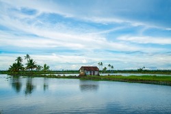 Beautiful Backwaters landscape with old house, Backwaters old house under blue sky