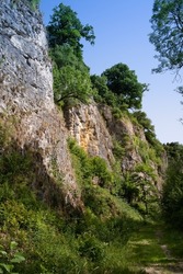 A gorge with high rock walls rising up into the blue sky in vertical format. Green plants grow on the rocks.