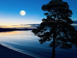 waterscape full moon and pine tree on the sandy beach at night late sunset on the sea Baltic seascape 