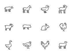 Farm animals line icons set. linear style symbols collection, animals side view outline signs pack. vector graphics. Set includes icons - cow, pig, sheep, goat, rooster, chicken, turkey, rabbit, goose