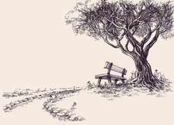 Park sketch. A wooden bench under the tree