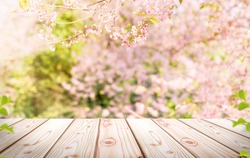 Empty wooden table in Sakura flower Park with garden bokeh background with a country outdoor theme, Template mock up for display of product