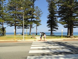 People traversing a crosswalk towards the beach. Pine trees, green grass, blue sea and blue sky. Cottesloe, Australia, 2013.
