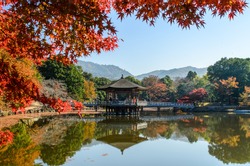 park in Nara Japan with red leaf
