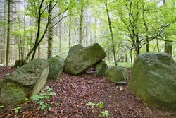 An ancient megalithic tomb in the forest near Poggendorf (Tomb number 4) in Mecklenburg-Vorpommern, Germany. The image was created using an HDR imaging technique.