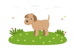 Dog. Pet, domestic and farm animal. Dog is walking on the lawn. Vector illustration in cartoon flat style.
