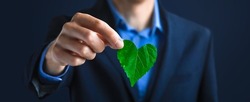 Businessman holding a green heart leaf  Business with corporate social responsibility and environmental concern
