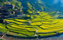 Terraces in Xijiang Miao village, Southeast Guizhou Province, China