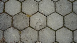 Cracked gray paving slabs in the shape of hexagons with small debris, moss and sprouted grass.