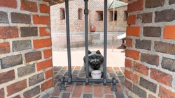 Sculpture of bronze cat looking through bars at Friedrichsburg Gate, Kaliningrad, Russia.