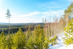 View from Maliye Cherti or Small Devils cliff on young spruce and birch trees on sunny winter day. Iset Park, Iset village, Sverdlovsk region, Russia.