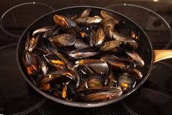 Cooking mussels in a pan. Mussels are perfect in endless fish recipes, but the simplest and most traditional in Galicia are steamed mussels.	