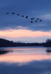 Blue Pink Sunset Over Lake