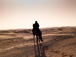 Douz, Tunisia, Arabian knight in the desert at sunset in the dunes and sand silhouetted against the light