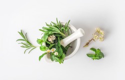 Medicinal herbs in mortar with pestle isolated on white background. Top view. Herbal medicine concept.