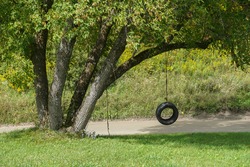 Tire Swing on Tree