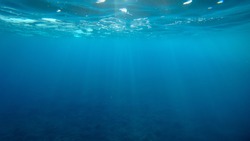 Underwater photo of atlantic ocean near the Canary Islands