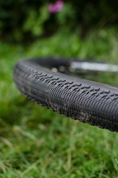 Mountain bike wheel stands on fresh grass