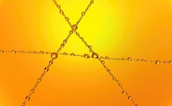 Abstract image of an alien structure created with water droplets on nylon string, orange to yellow with a warm tone.