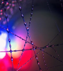 Abstract image of water beads on fine nylon strings with colors from deep red to blue.   Macro image of water drops on fine fishing line.   Abstract macro image of an alien looking structure.