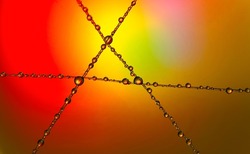 Abstract image of an alien structure created with water droplets on nylon string, deep red to yellow in color.
