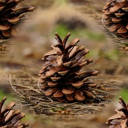 Tileable pattern of a pine cone on the forest floor. Autumn background for your design. Christmas background.
