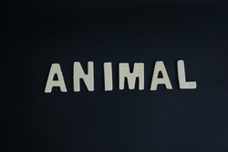 Word 'Animal' on black background. Animal defined as a living organism that feeds on organic matter, typically having specialized sense organs and nervous system and able to respond rapidly to stimuli