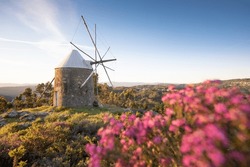 Traditional windmills in Central Portugal. Sunset in Coimbra, Portugal. Beautiful sunny day. Flowers, trees and grass. Turism concept