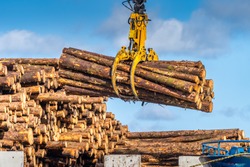 Timber export or import, loading on cargo ship in Wicklow commercial port or harbour in Ireland. Transport industry. Close up on wood logs gripple