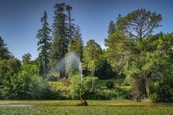 Water gushing out from fountain covered in moss, located in the pond covered in water lilies, Powerscourt gardens, Enniskerry, Wicklow, Ireland